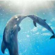 ヒメ日記 2025/07/27 11:31 投稿 まゆみ 人妻の品格(福岡)