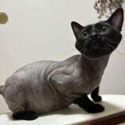 ヒメ日記 2025/07/30 00:42 投稿 まゆみ 人妻の品格(福岡)