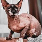 ヒメ日記 2025/09/24 11:00 投稿 まゆみ 人妻の品格(福岡)