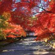 ヒメ日記 2025/10/27 11:30 投稿 まゆみ 人妻の品格(福岡)