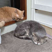 ヒメ日記 2025/10/08 09:45 投稿 ゆい ぺろぺろベロベロ専科 ぺろんちょ