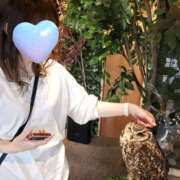 ヒメ日記 2025/10/19 06:55 投稿 ゆい ぺろぺろベロベロ専科 ぺろんちょ