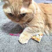 ヒメ日記 2025/12/08 09:35 投稿 ゆい ぺろぺろベロベロ専科 ぺろんちょ