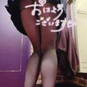ヒメ日記 2025/02/26 08:02 投稿 橋本れな 言葉責めＭ性感イッツブーリー（横浜ハレ系）