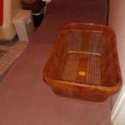 小夏 こんにちは♪ セクシーキャット 神田店