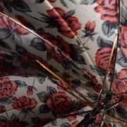 ヒメ日記 2026/03/26 07:25 投稿 小夏 セクシーキャット 神田店