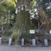 ヒメ日記 2024/12/21 17:42 投稿 初音 セクシーキャット 神田店