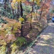 ヒメ日記 2025/01/02 09:02 投稿 初音 セクシーキャット 神田店