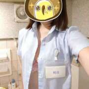 ヒメ日記 2025/01/29 08:26 投稿 初音 セクシーキャット 神田店