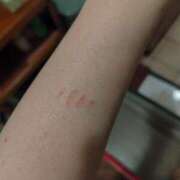 ヒメ日記 2025/04/05 17:05 投稿 初音 セクシーキャット 神田店