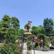 ヒメ日記 2025/05/10 17:05 投稿 初音 セクシーキャット 神田店