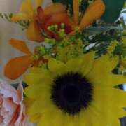 ヒメ日記 2025/06/04 07:30 投稿 初音 セクシーキャット 神田店