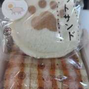 ヒメ日記 2025/07/12 17:05 投稿 初音 セクシーキャット 神田店