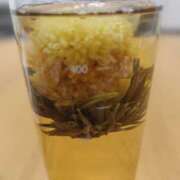 ヒメ日記 2025/08/17 16:55 投稿 初音 セクシーキャット 神田店