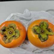 ヒメ日記 2025/11/12 17:00 投稿 初音 セクシーキャット 神田店