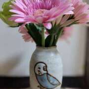 ヒメ日記 2025/12/03 17:03 投稿 初音 セクシーキャット 神田店