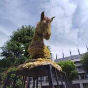 ヒメ日記 2025/12/27 17:01 投稿 初音 セクシーキャット 神田店