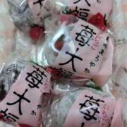 ヒメ日記 2026/02/16 17:02 投稿 初音 セクシーキャット 神田店