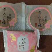 ヒメ日記 2026/02/28 16:55 投稿 初音 セクシーキャット 神田店