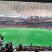 ヒメ日記 2026/03/30 08:25 投稿 初音 セクシーキャット 神田店