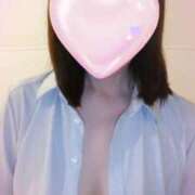 ヒメ日記 2026/04/11 08:15 投稿 初音 セクシーキャット 神田店