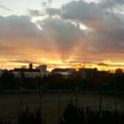 ヒメ日記 2024/12/17 20:16 投稿 志摩 セクシーキャット 神田店