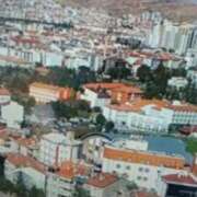 ヒメ日記 2024/12/18 15:37 投稿 志摩 セクシーキャット 神田店