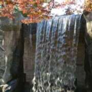 ヒメ日記 2025/01/11 22:53 投稿 志摩 セクシーキャット 神田店