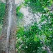 ヒメ日記 2025/01/21 21:32 投稿 志摩 セクシーキャット 神田店