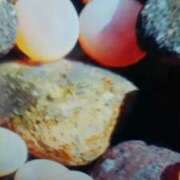 ヒメ日記 2025/01/22 21:36 投稿 志摩 セクシーキャット 神田店