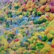 ヒメ日記 2025/01/24 21:29 投稿 志摩 セクシーキャット 神田店