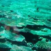 ヒメ日記 2025/02/15 21:32 投稿 志摩 セクシーキャット 神田店