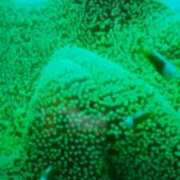 ヒメ日記 2025/02/25 21:25 投稿 志摩 セクシーキャット 神田店