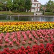 ヒメ日記 2025/03/08 18:23 投稿 志摩 セクシーキャット 神田店