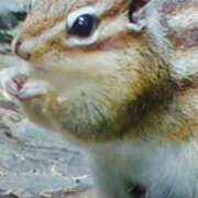 ヒメ日記 2025/03/11 18:30 投稿 志摩 セクシーキャット 神田店