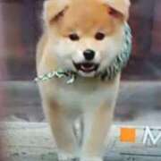 ヒメ日記 2025/03/19 21:24 投稿 志摩 セクシーキャット 神田店