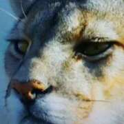 ヒメ日記 2025/04/16 18:08 投稿 志摩 セクシーキャット 神田店