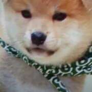 ヒメ日記 2025/04/18 21:27 投稿 志摩 セクシーキャット 神田店