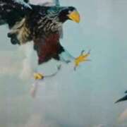 ヒメ日記 2025/04/25 15:37 投稿 志摩 セクシーキャット 神田店