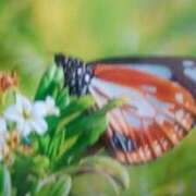 ヒメ日記 2025/05/07 18:22 投稿 志摩 セクシーキャット 神田店