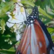 ヒメ日記 2025/05/08 15:37 投稿 志摩 セクシーキャット 神田店