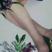 ヒメ日記 2025/05/14 15:36 投稿 志摩 セクシーキャット 神田店