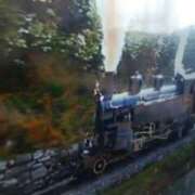 ヒメ日記 2025/05/15 21:51 投稿 志摩 セクシーキャット 神田店