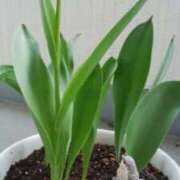 ヒメ日記 2025/05/17 17:37 投稿 志摩 セクシーキャット 神田店