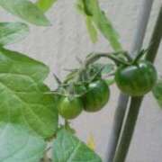 ヒメ日記 2025/06/04 18:45 投稿 志摩 セクシーキャット 神田店