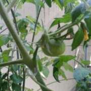 ヒメ日記 2025/06/07 17:53 投稿 志摩 セクシーキャット 神田店