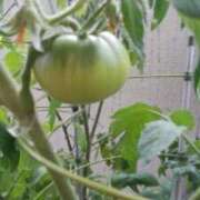 ヒメ日記 2025/06/13 15:31 投稿 志摩 セクシーキャット 神田店