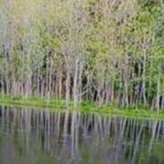 ヒメ日記 2025/06/14 21:44 投稿 志摩 セクシーキャット 神田店