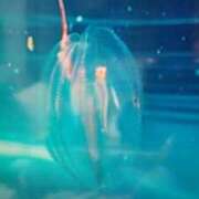 ヒメ日記 2025/06/25 18:35 投稿 志摩 セクシーキャット 神田店