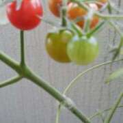 ヒメ日記 2025/07/01 15:41 投稿 志摩 セクシーキャット 神田店